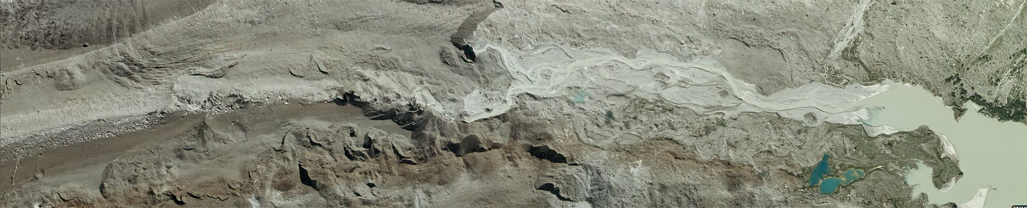 01.08.2004: Unteraargletscher (Berner Alpen), Gletschervorfeld Unteraargletscher