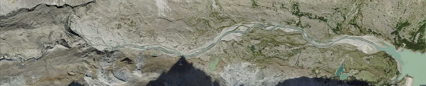 01.08.2024: Unteraargletscher (Berner Alpen), Gletschervorfeld Unteraargletscher