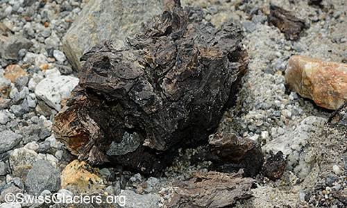 Holzfund 1 vom 4.7.2020 vor dem Unteraargletscher