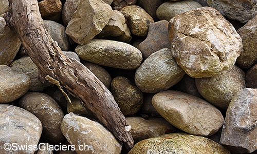 Symbolbild für Holz- und Torffunde